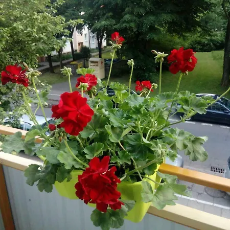 Apartament Dookola Swiata Apartment *